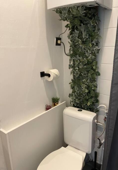 Private In Apartment Antwerp